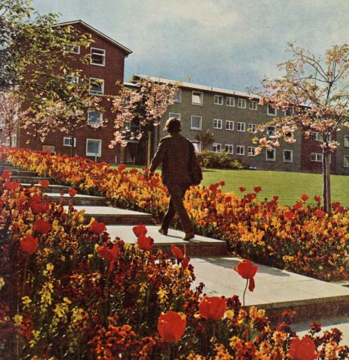 Student at Belmont Hall