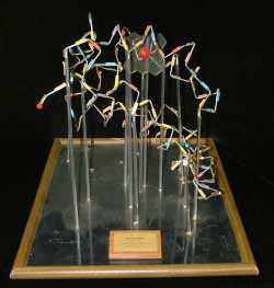 Sperm Whale Myoglobin model