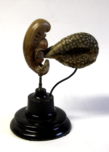 Embryo model