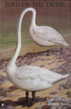 artists book by Edward Summerton
