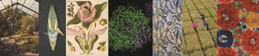 Selection of images from the exhibition