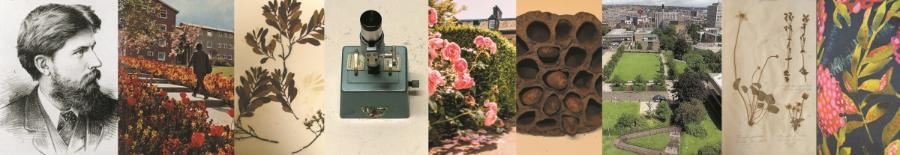 Selection of images from the exhibition