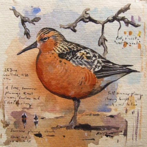 Knot by Derek Robertson