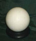 plaster model