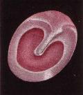 membrane2