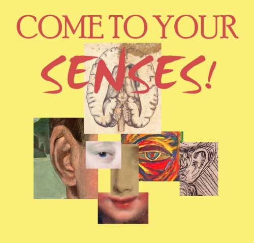 senses