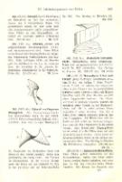 detail from catalogue