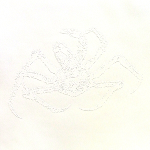 image by Elaine Shemilt from D'Arcy Thompson Print Folio