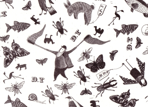 detail of illustration by Lauren Gentry