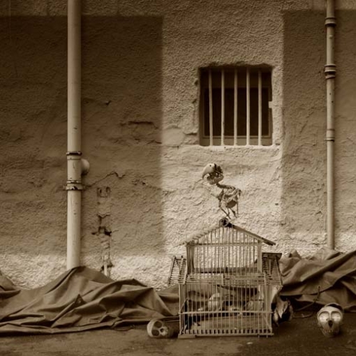 Remains by Catherine McIntyre