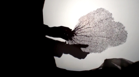 Still from Aristotle as a Biologist