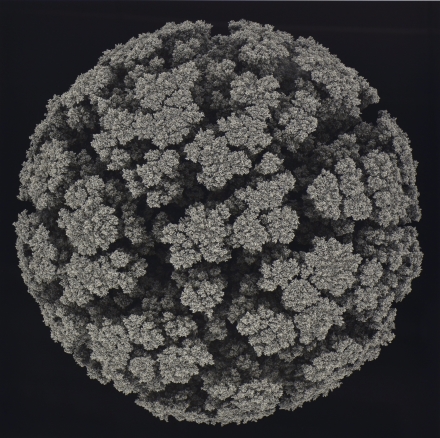 Andy Lomas, Aggregation 27